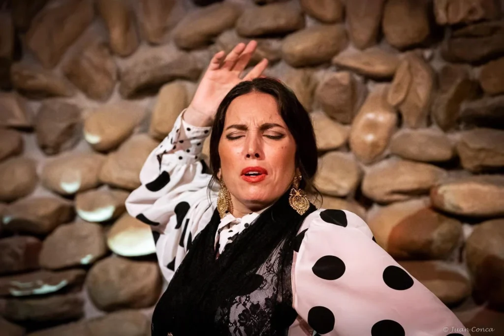 Malaga Authentic Flamenco Show at El Gallo Ronco