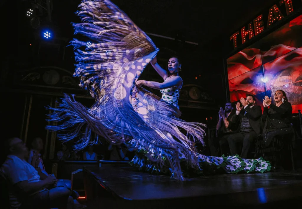 Malaga Teatro Flamenco Malaga Live Flamenco Show